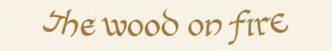 the-wood-on-fire.fr